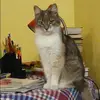 Отзыв от Олеся Фомичева